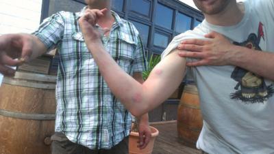 Klicken, um volle Grösse zu sehen sani-06.jpg